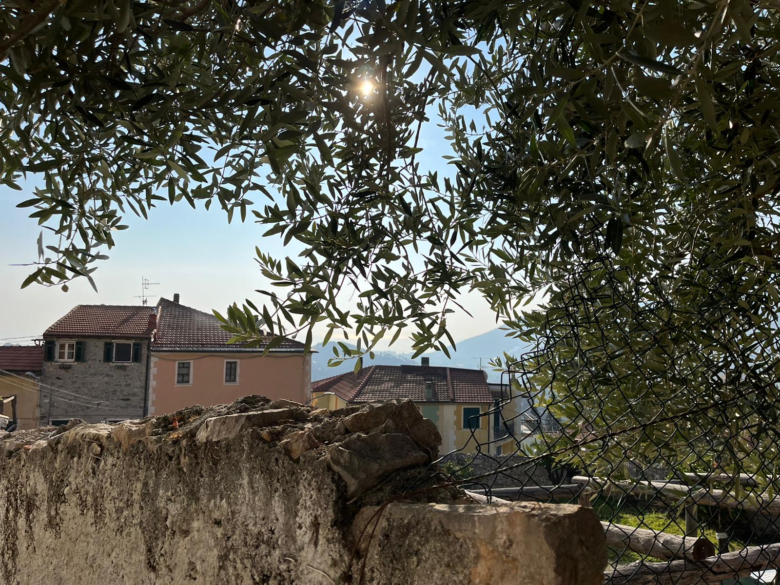 Casa rustica Boissano 11
